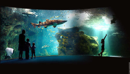 aquarium la rochelle tarifs horaires visites