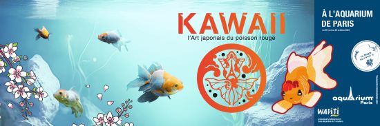 exposition kawaii paris poissons rouges