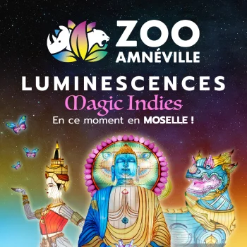 luminescences zoo amnéville magic indies horaires tarifs billets