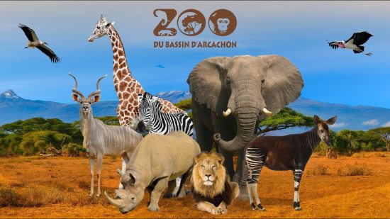 zoo bassin arcachon tarifs horaires